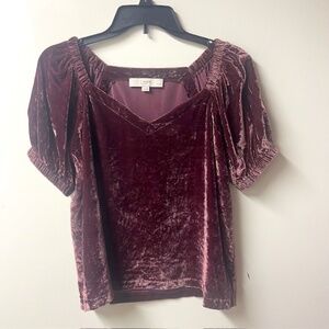 LOFT Velvet Puff Sleeve Top (Petite Small)